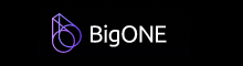 bigone-review